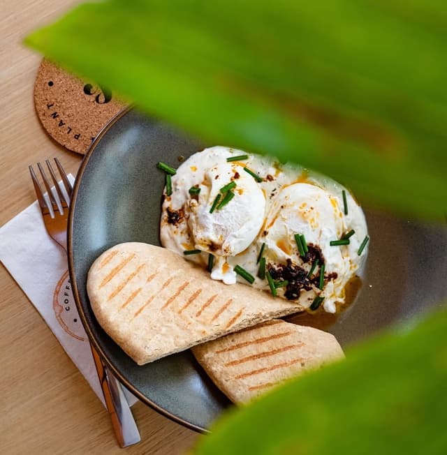 Turkish Eggs, Grilled Pita & a touch of Nature's Elegance